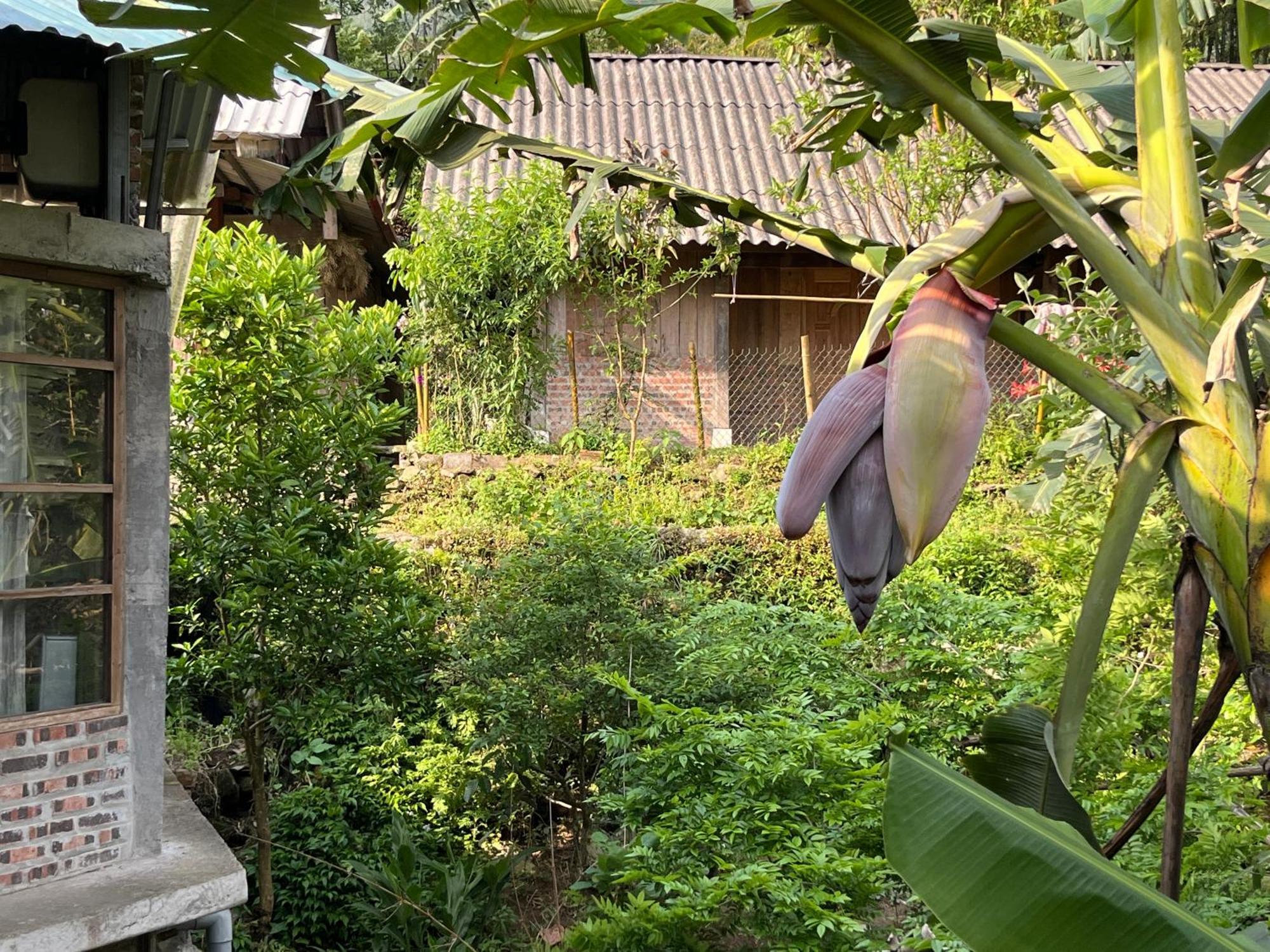 Ferienwohnung Ya'S House Sapa Exterior foto